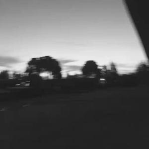 兽皇videosfree另类
