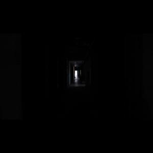 兽皇videosfree另类
