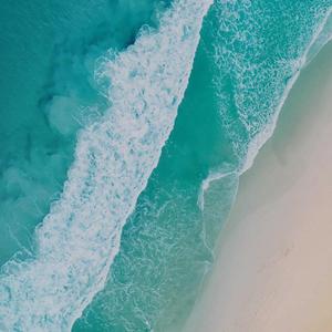 兽皇videosfree另类
